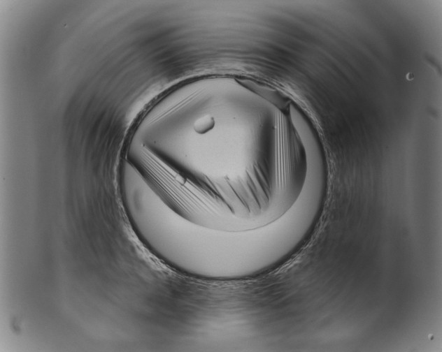 X0000099420944200806060952