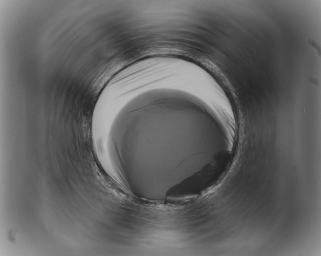 X0000099420945200806060952
