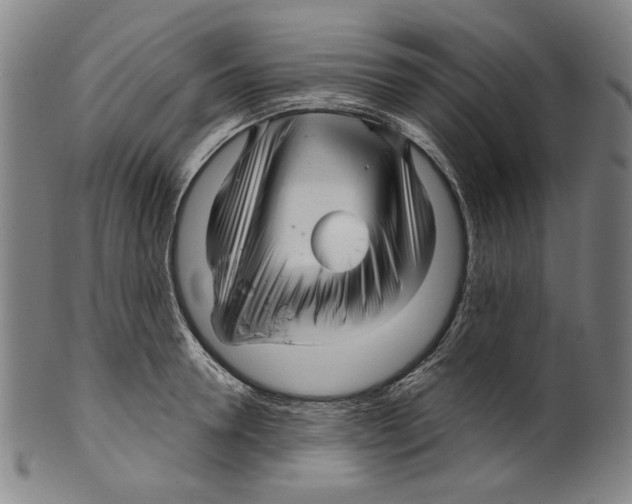 X0000099420946200806060952