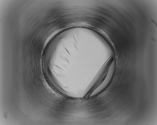 X0000099420947200806060952