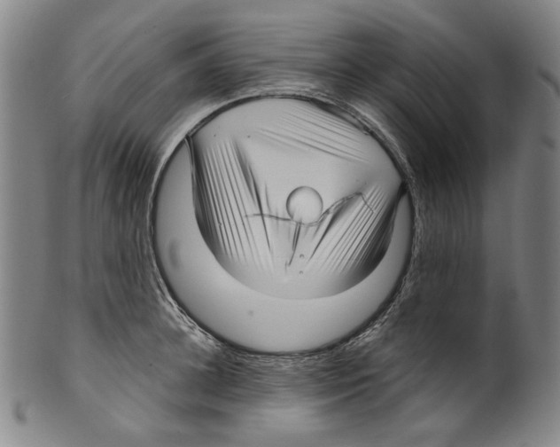 X0000099420948200806060952