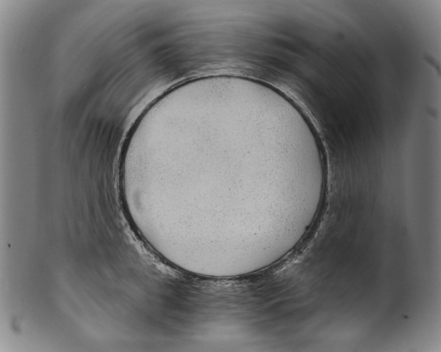 X0000099420949200806060952