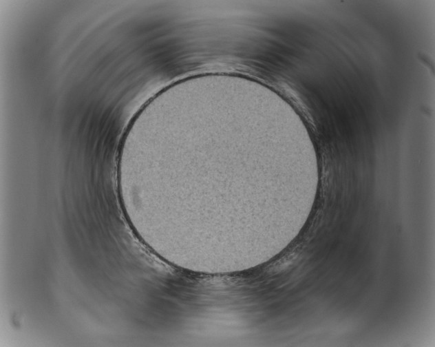 X0000099420950200806060952