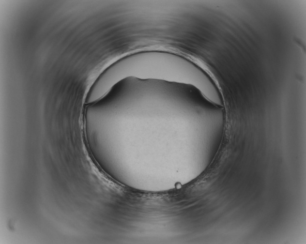 X0000099420951200806060952