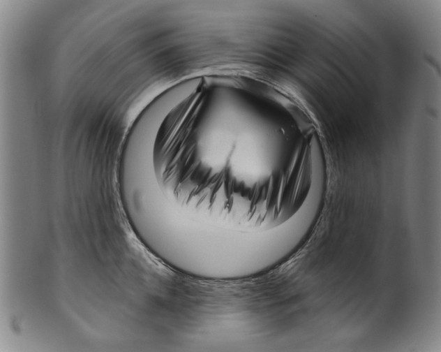 X0000099420952200806060952