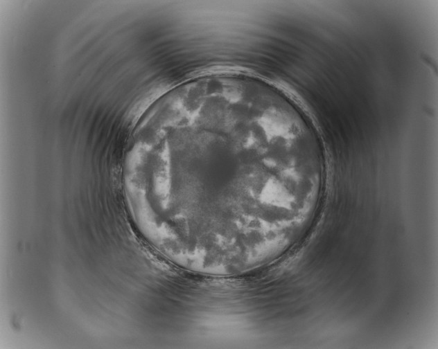 X0000099420953200806060952