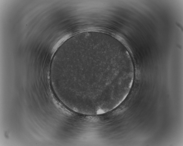 X0000099420954200806060952