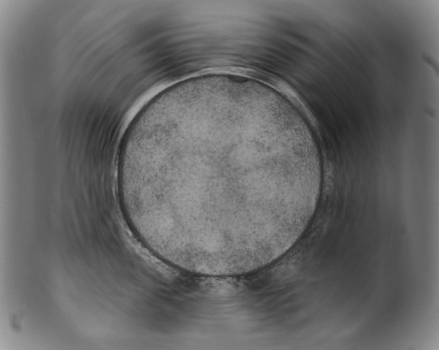 X0000099420955200806060952