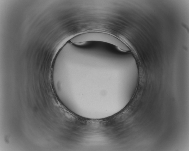 X0000099420956200806060952