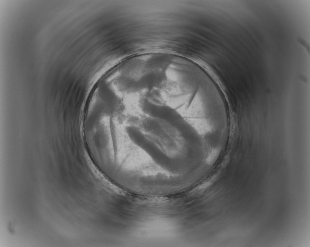 X0000099420957200806060952