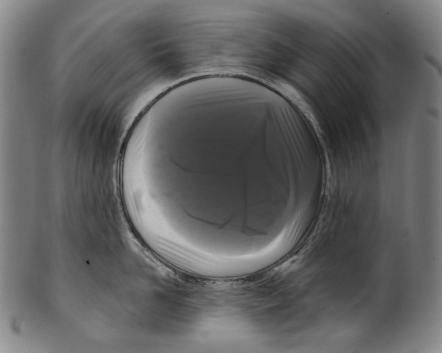 X0000099420958200806060952