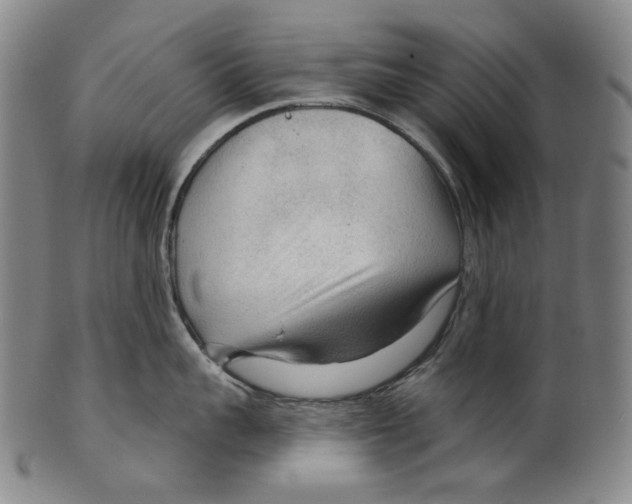 X0000099420959200806060952