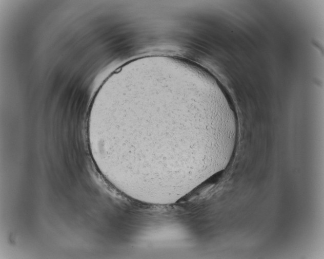 X0000099420960200806060952