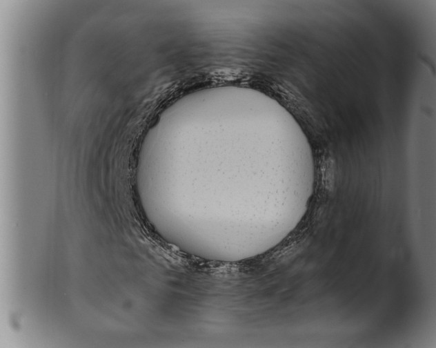 X0000099420961200806060951