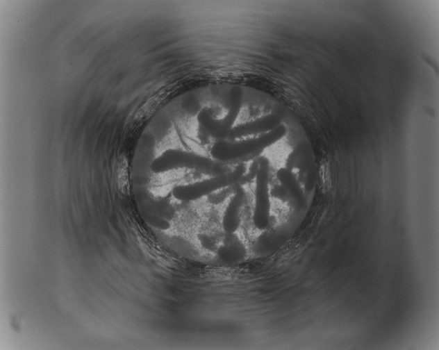 X0000099420963200806060951