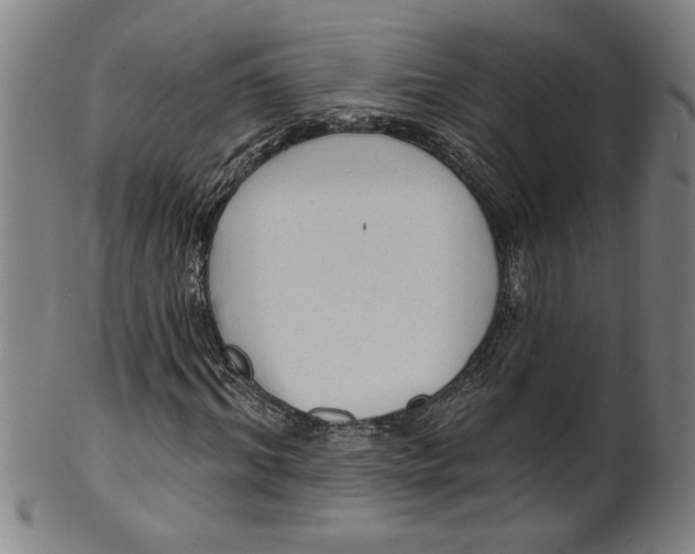 X0000099420964200806060951