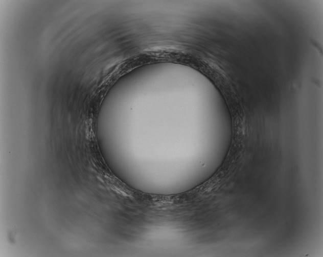 X0000099420965200806060951