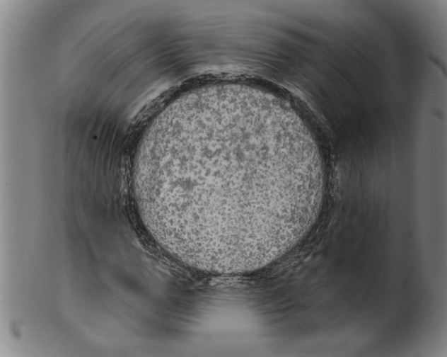 X0000099420967200806060951