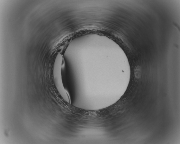 X0000099420968200806060951
