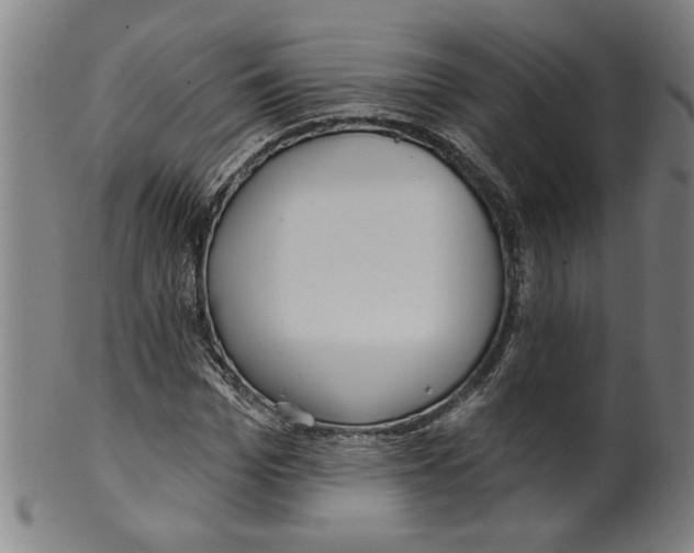 X0000099420969200806060951