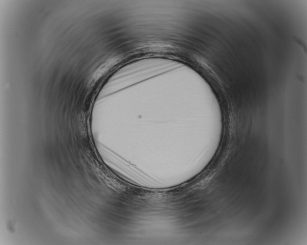 X0000099420970200806060951