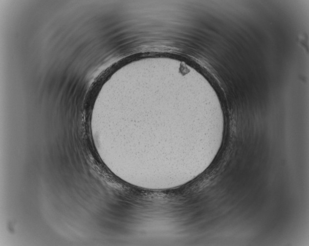 X0000099420971200806060951