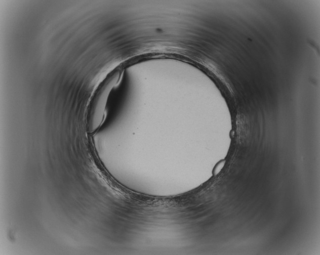 X0000099420972200806060951