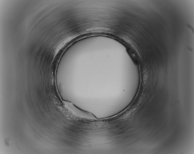 X0000099420973200806060951