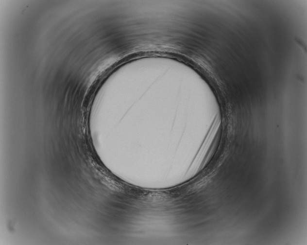 X0000099420974200806060951