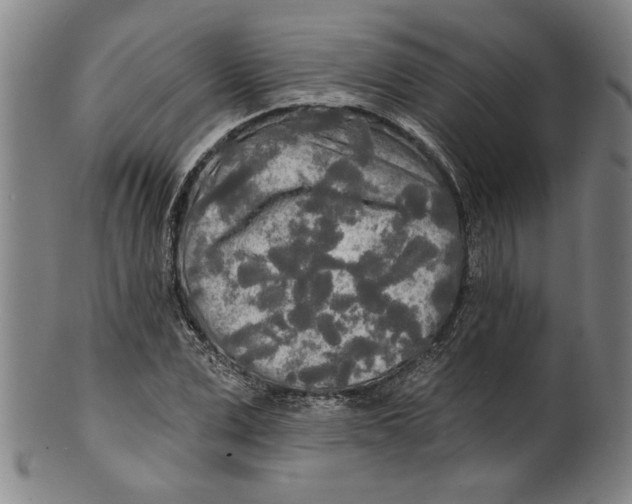 X0000099420975200806060951