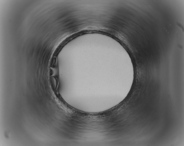 X0000099420976200806060951