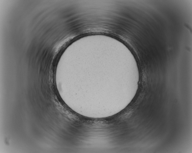 X0000099420979200806060951