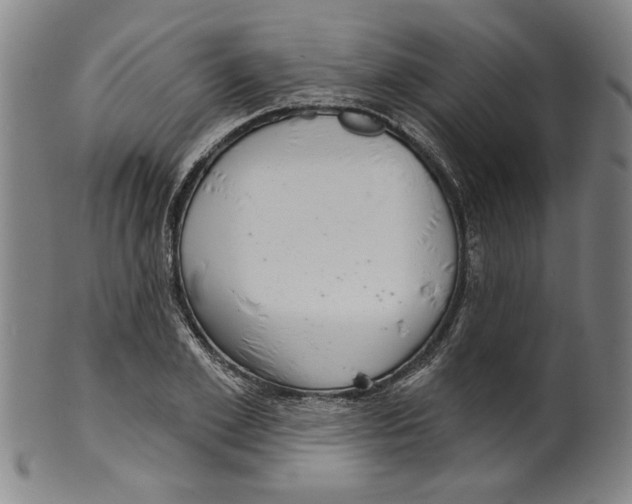 X0000099420981200806060951
