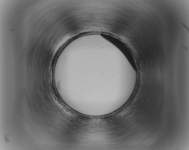 X0000099420982200806060951