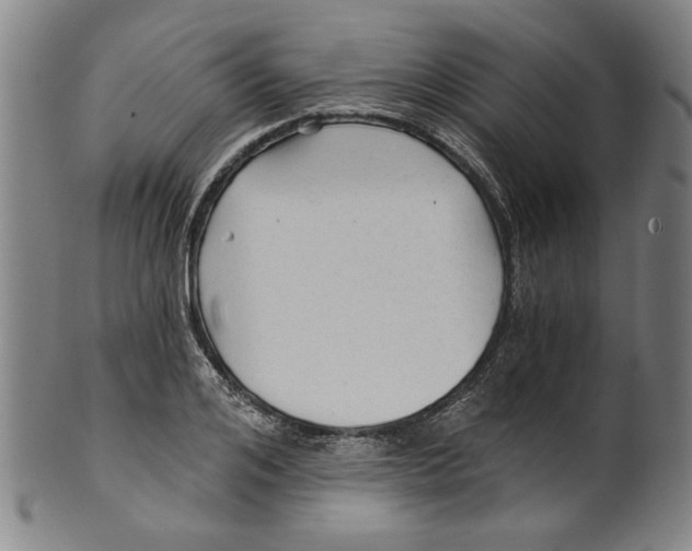 X0000099420984200806060951
