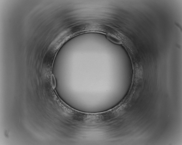 X0000099420985200806060951