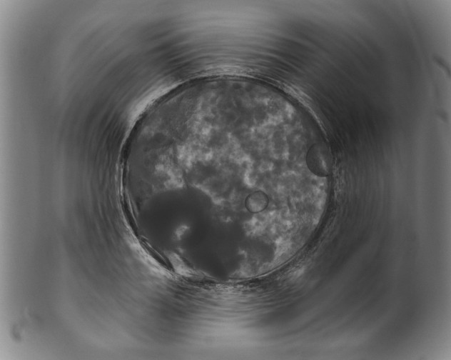 X0000099420987200806060951