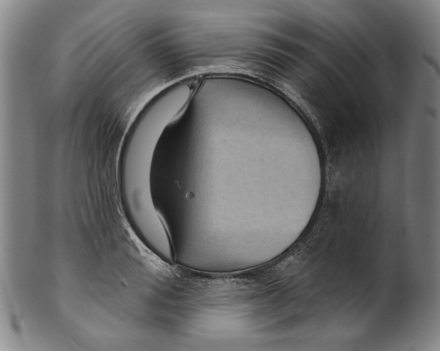 X0000099420988200806060951