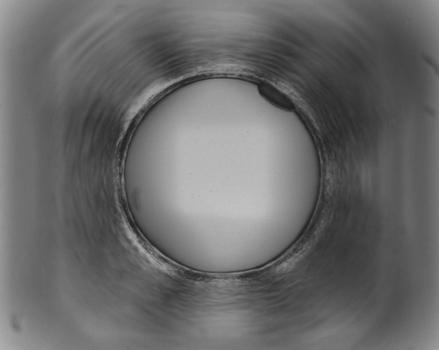 X0000099420989200806060951