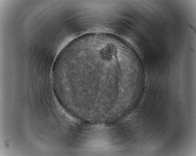 X0000099420990200806060951