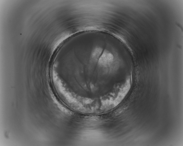 X0000099420991200806060951