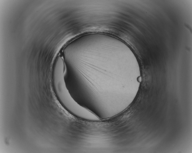 X0000099420992200806060951