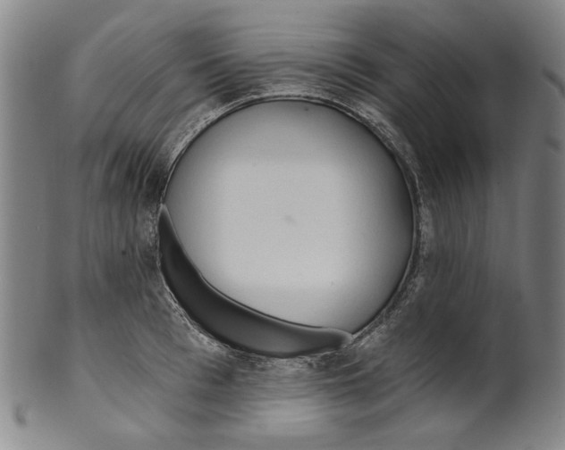 X0000099420993200806060951