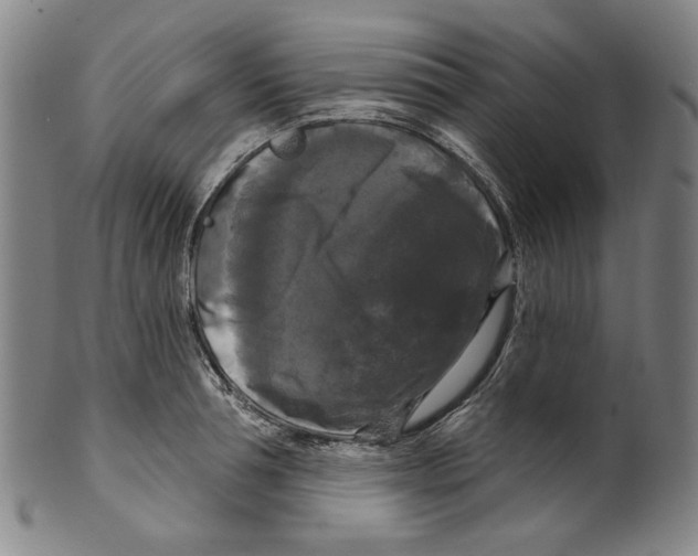 X0000099420994200806060951