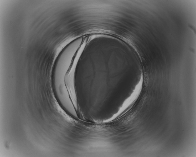X0000099420995200806060951