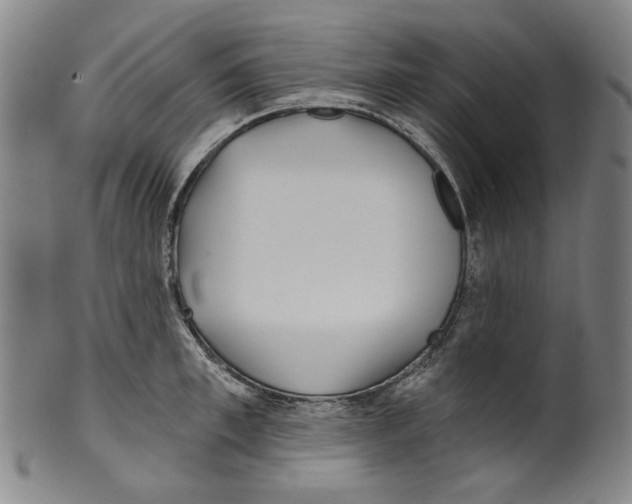 X0000099420997200806060951