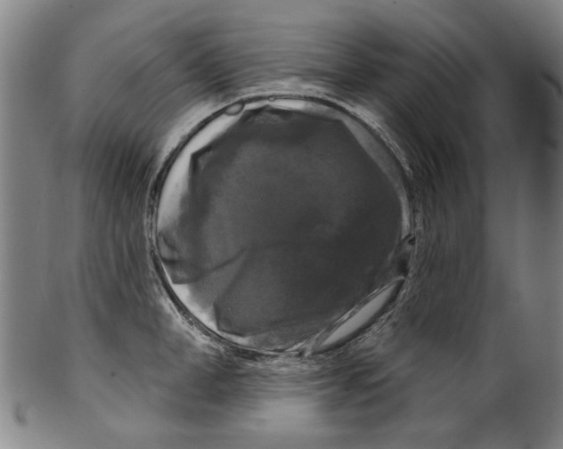 X0000099420998200806060951