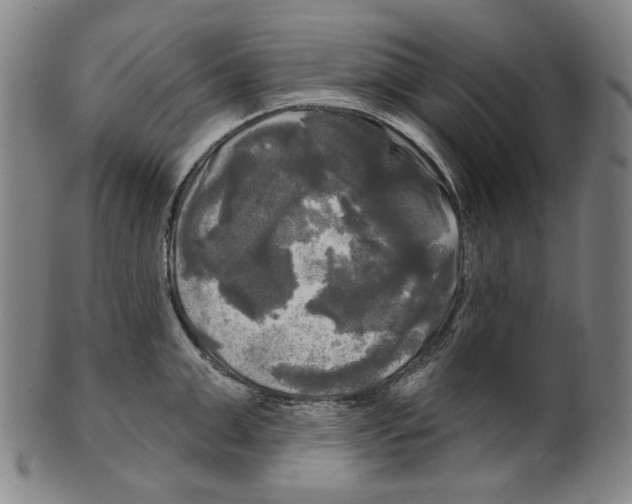 X0000099420999200806060951