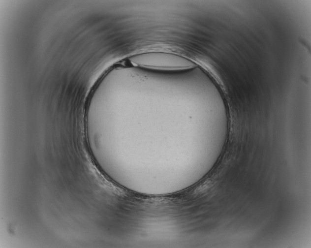 X0000099421000200806060951
