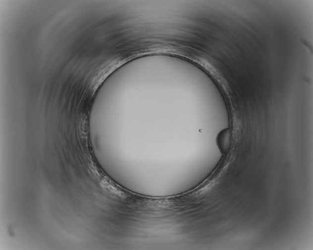 X0000099421001200806060951